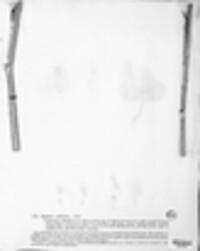 Selenophoma nebulosa image